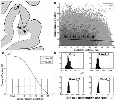 Commentary: BRAIN NETWORKS. Correlated Gene Expression Supports Synchronous Activity in Brain Networks. Science 348, 1241–4